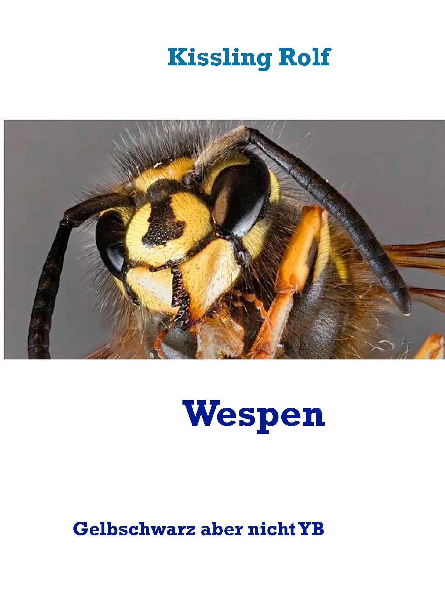 Wespen - Kissling Rolf - E-Book