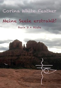 Meine Seele erstrahlt! - Corina White Feather - E-Book