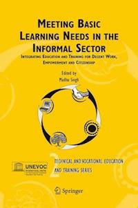 Meeting Basic Learning Needs in the Informal Sector -  - E-Book