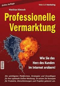 Professionelle Vermarktung und Kampagnengestaltung im Internet - Matthias Kletzsch - E-Book