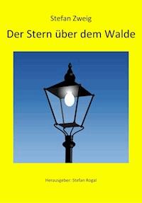 Der Stern über dem Walde - Zweig Stefan - E-Book