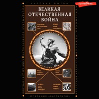 Великая Отечественная война - Сергей Нечаев - Hörbuch