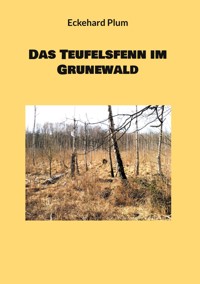 Das Teufelsfenn im Grunewald - Eckehard Plum - E-Book