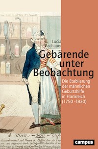 Gebärende unter Beobachtung - Lucia Aschauer - E-Book