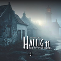 Hallig 11, Folge 3: Der Totenschlüssel - Daniel Call - Hörbuch