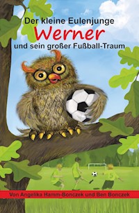 Der kleine Eulenjunge Werner und sein großer Fußball-Traum - Angelika Hamm-Bonczek - E-Book