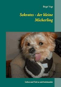 Sokrates - der kleine Mickerling - Birgit Vogt - E-Book