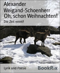 Oh, schon Weihnachten! - Alexander Weigand Schoenherr - kostenlos E-Book