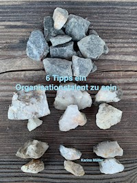 6 Tipps ein Organisationstalent zu sein - Karina Müller - E-Book