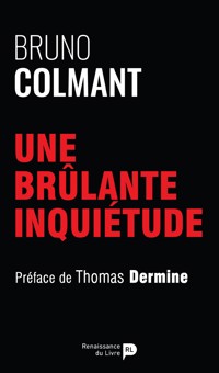 Une brûlante inquiétude - Bruno Colmant - E-Book