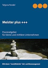 Meister plus +++ - Tatjana Pandel - E-Book