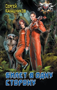 Билет в одну сторону - Сергей Калашников - E-Book