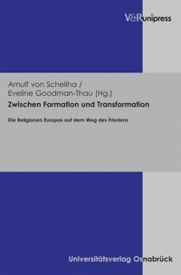 Zwischen Formation und Transformation -  - E-Book