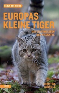 Europas kleine Tiger - Christine Sonvilla - E-Book