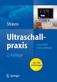 Ultraschallpraxis - Alexander Strauss - E-Book