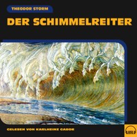 Der Schimmelreiter - Theodor Storm - Hörbuch