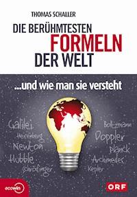 Die berühmtesten Formeln der Welt... und wie man sie versteht - Thomas Schaller - E-Book