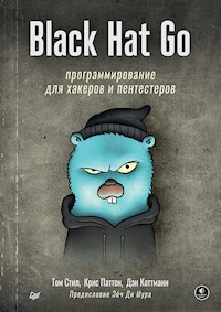 Black Hat Go: Программирование для хакеров и пентестеров - Том Стил - E-Book