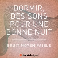 Bruit moyen faible - Patricio Samuelsson - Hörbuch