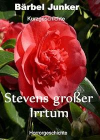 Stevens großer Irrtum - Bärbel Junker - E-Book