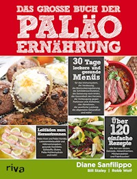 Das große Buch der Paläo-Ernährung - Diane Sanfilippo - E-Book