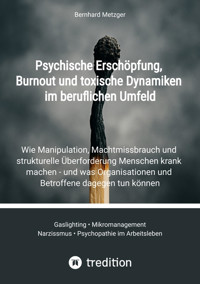 Psychische Erschöpfung, Burnout und toxische Dynamiken im beruflichen Umfeld - Bernhard Metzger - E-Book
