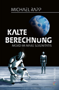 Kalte Berechnung - Michael Rapp - E-Book