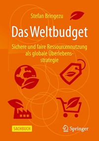 Das Weltbudget - Stefan Bringezu - E-Book