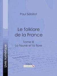 Le Folk-Lore de la France - Paul Sébillot - E-Book