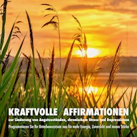 Kraftvolle Affirmationen zur Linderung von Angstzuständen, chronischem Stress und Depressionen - Patrick Lynen - Hörbuch