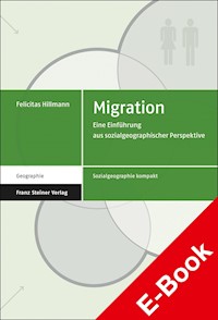 Migration - Felicitas Hillmann - E-Book
