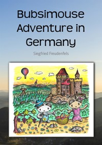 Bubsimouse Adventure in Germany - Siegfried Freudenfels - E-Book
