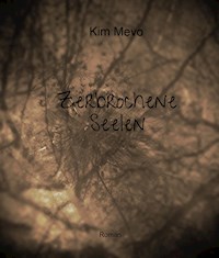 Zerbrochene Seelen - Kim Mevo - E-Book