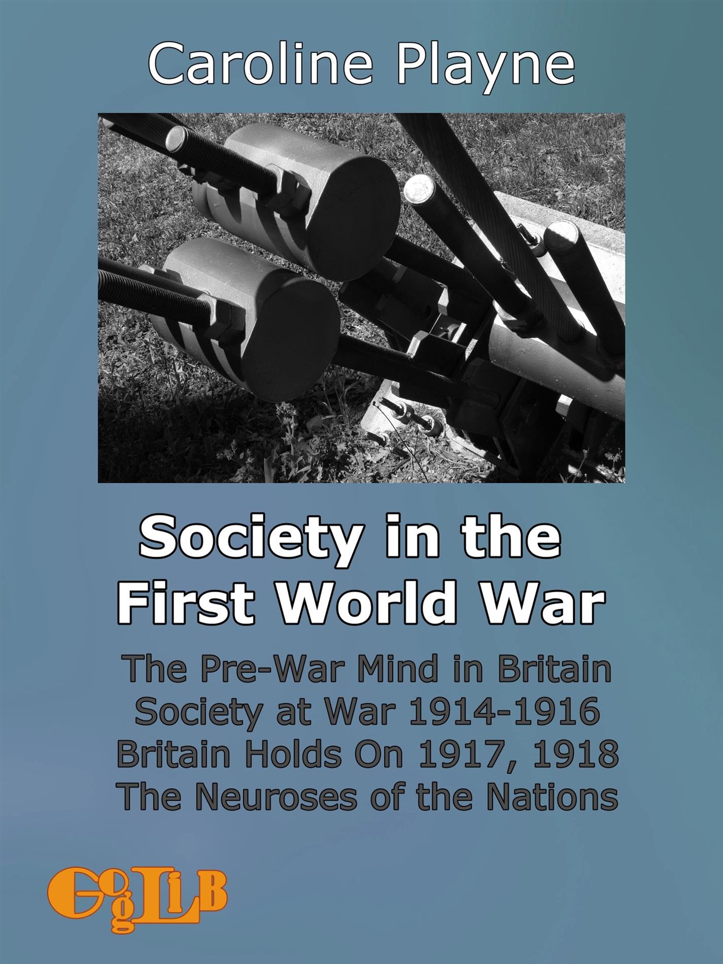 Society in the First World War - Caroline Playne - E-Book
