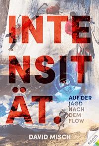 Intensität - David Misch - E-Book