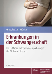 Erkrankungen in der Schwangerschaft - Gerhard Grospietsch - E-Book