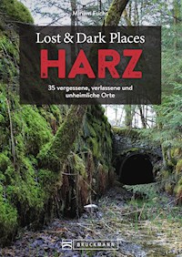 Lost & Dark Places Harz - Miriam Fuchs - E-Book