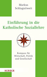 Einführung in die Katholische Soziallehre - Markus Schlagnitweit - E-Book