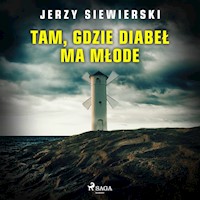 Tam, gdzie diabeł ma młode - Jerzy Siewierski - Hörbuch