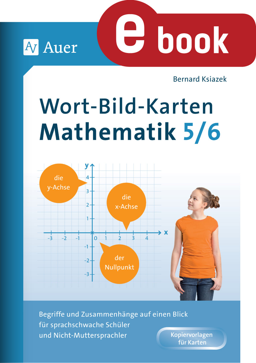 Wort-Bild-Karten Mathematik Klassen 5-6 - Bernard Ksiazek - E-Book
