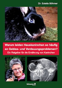 Warum leiden Hauskaninchen so häufig an Gebiss- und Verdauungsproblemen? - Estella Böhmer - E-Book