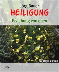 Heiligung - Jörg Bauer - kostenlos E-Book
