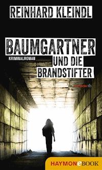 Baumgartner und die Brandstifter - Reinhard Kleindl - E-Book