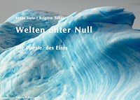 Welten unter Null - Klaus Isele - E-Book