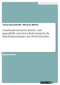 Sozialraumorientierte Kinder- und Jugendhilfe und deren Bedeutung für die Handlungsstrategien der Professionellen - Jenny Rauschkolb - kostenlos E-Book