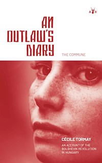 An Outlaw's Diary - Tormay Cecile - E-Book