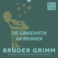 Die Gänsehirtin am Brunnen - Brüder Grimm - Hörbuch