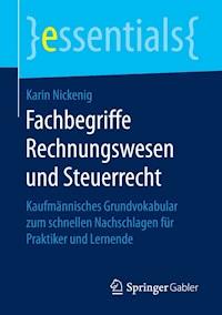 Fachbegriffe Rechnungswesen und Steuerrecht - Karin Nickenig - E-Book