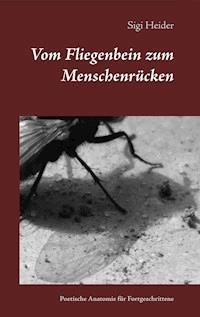 Vom Fliegenbein zum Menschenrücken - Sigi Heider - E-Book