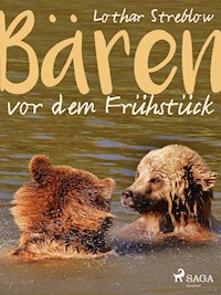 Bären vor dem Frühstück - Erzählungen - Lothar Streblow - E-Book